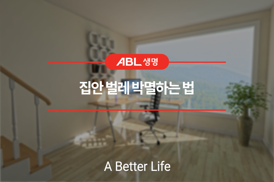 집안 벌레 박멸하는 법